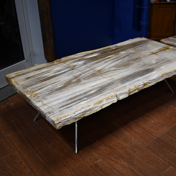 Desert Mirage - Petrified Wood Table (or just tabletop)