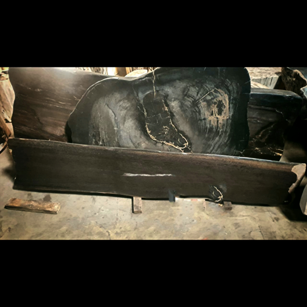 Eclipse Elegance - Petrified Wood Console Tabletop