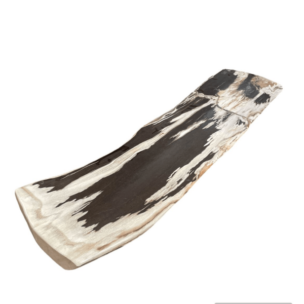 Eternal Elegance - Petrified Wood Console Table ( or just tabletop)