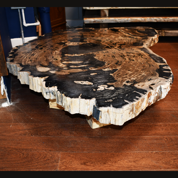 Majestic - Petrified Wood Coffee Table (or just tabletop)
