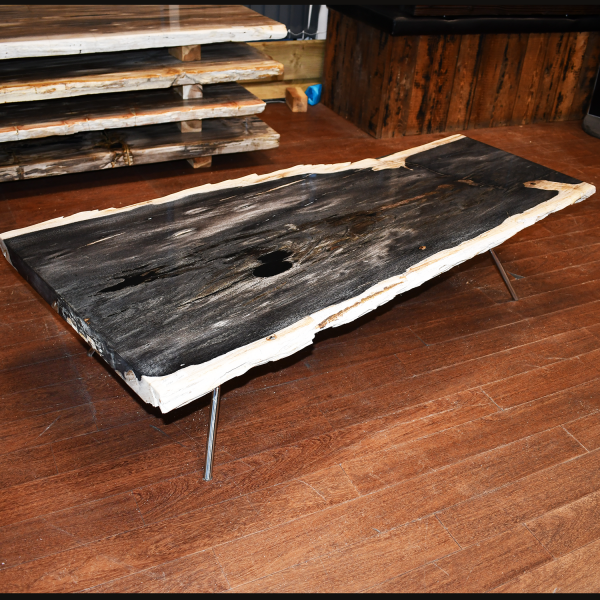 Midnight Echo - Petrified Wood Table (or just tabetop)