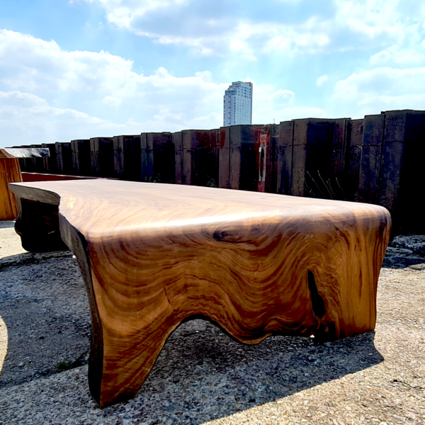 Tranquil Forest - Suar Wood Coffee Table