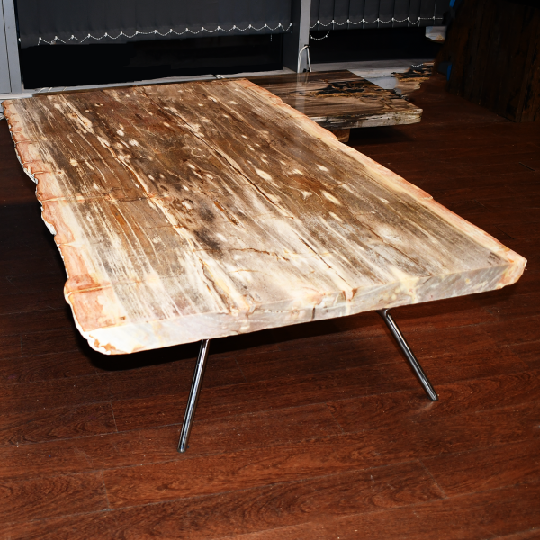 Amber Glow - Petrified Wood Coffee Table (or just tabletop)
