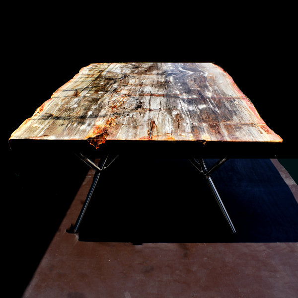 Ancient Terra -  Petrified Wood Coffee Table (or just tabletop)