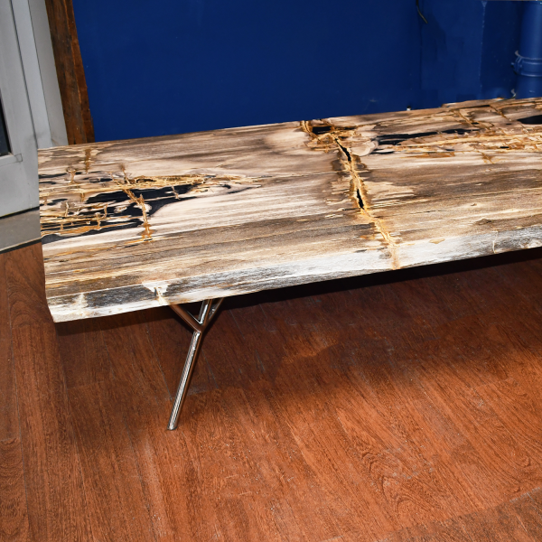 Black Ponds - Petrified Wood Coffee Table (or just tabletop)