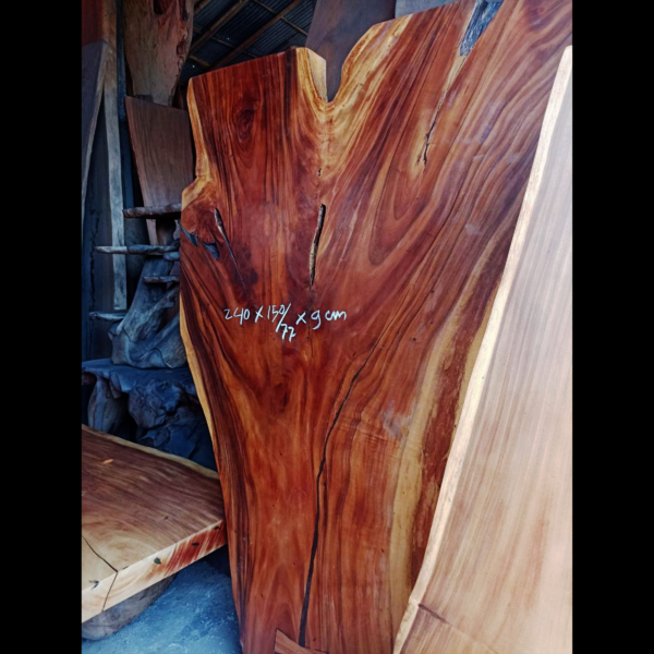 Crimson Wave - Suar Wood Slab