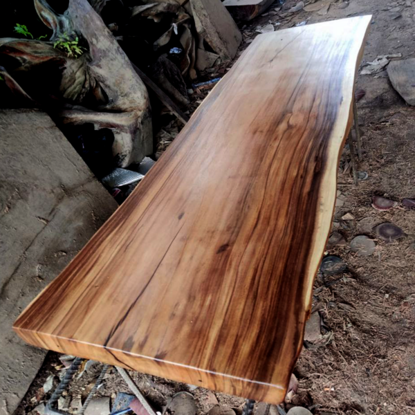 Golden Horizon - Suar Wood Slab