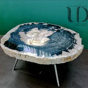 Obsidian Crest - Petrified Wood Table