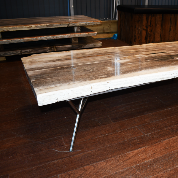 Silver Horizon - Petrified Wood Coffee Table (or just tabletop)