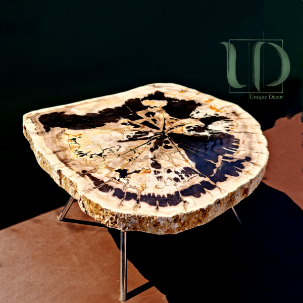 Butterfly - Petrified Wood Coffee Table top