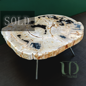 Journey of Destiny - Petrified Wood Table