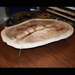 Smoky Galaxy – Petrified Wood Coffee Table (or just tabletop)